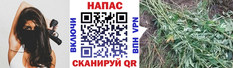 Продажа наркотиков Нарьян-Мар Cocaine  Меф мяу мяу  Гашиш  СК  Бошки Шишки 