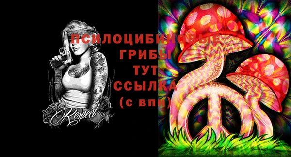 2c-b Навашино