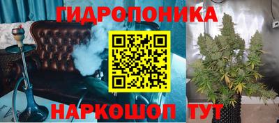 стаф Донецк