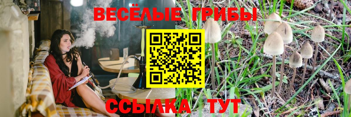 Псилоцибиновые грибы мухоморы  Псилоцибиновые грибы прущие грибы  Нарьян-Мар 